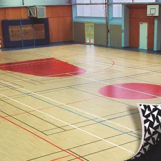Sporisol