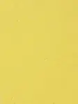 Mipolam Planet 5422 Sunflower