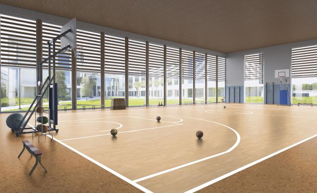 sport